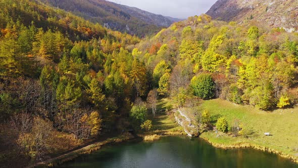 Aerial View of Blue Lake and Green Forests