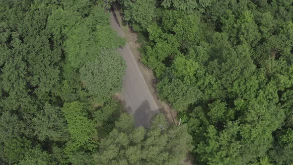 Red Car Driving in Forest