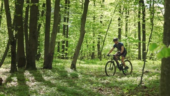 A Cyclist is Riding at Speed Along a Forest Path