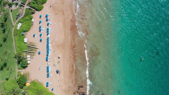 People Enjoying Beautiful Tropical Nature at Luxury Hotel Resort Vacation