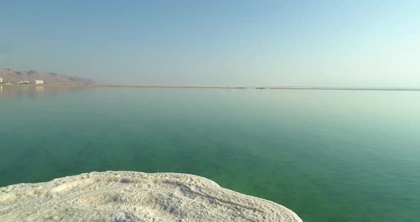 Aerial view of dead tree surrounded by salt water, the Dead sea, Negev, Israel.