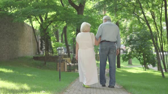 Back View of Senior Caucasian Couple Walking in Sunlight Along the Alley in Summer Park. Wide Shot