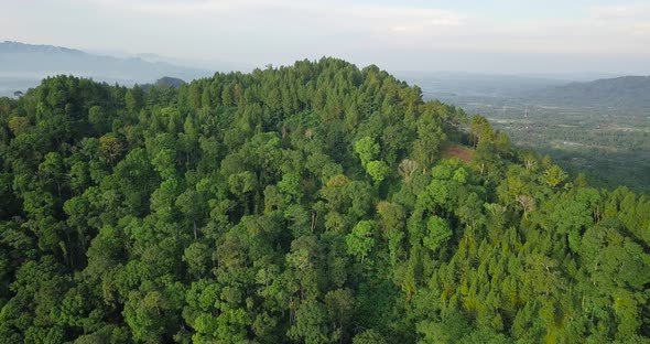 Drone flying near mountains and volcano covered by green trees in Indonesia. hill and forest in tro