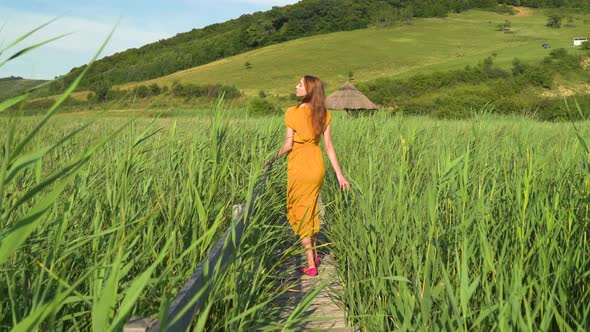 Walking on a wooden path in a reed field