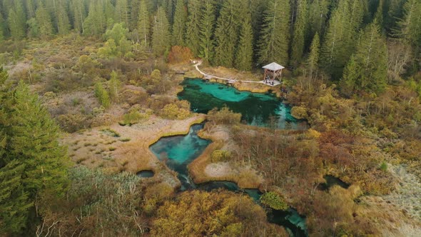 Flying over autumn landscape at sunrise