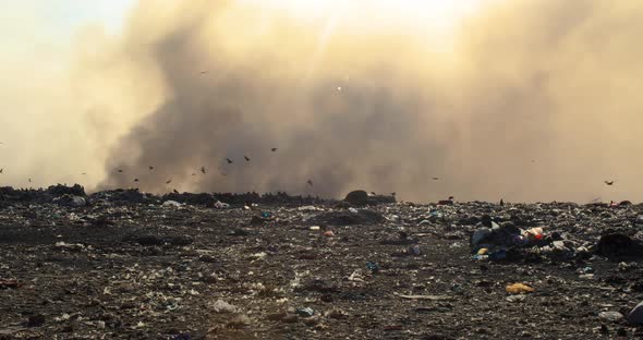 Burning garbage pile in trash landfill