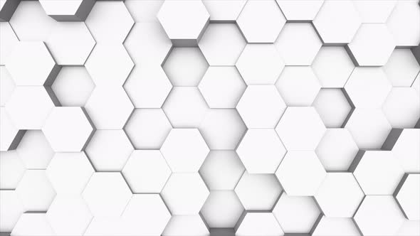 Random Waving Motion Abstract Background From Hexagon