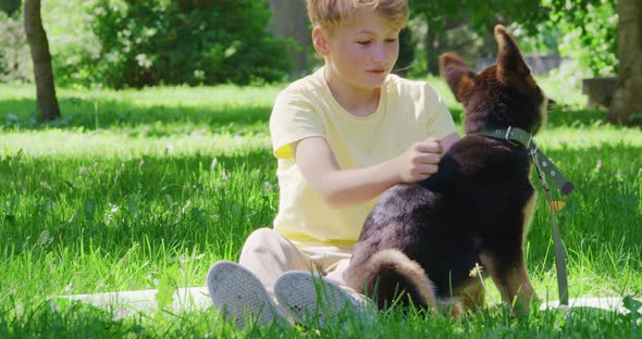 Playful Boy and Little Puppy Spending Together Time at Park