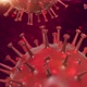 Infected virus inside the blood 3d Corona covid-19 - VideoHive Item for Sale