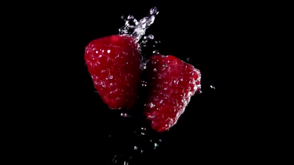 Two Ripe Raspberries Bounce in the Air with Drops of Water on a Black Background