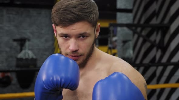 Portrait of a Muscular Male Boxer in Boxing Gloves in Ring He Practices Punches