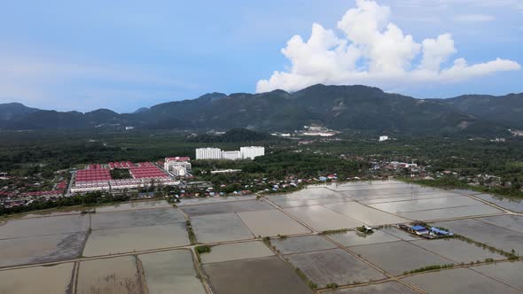 Aerial view Balik Pulau paddy field water season
