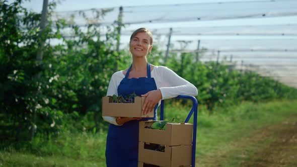 Beautiful Female Farmer Looking Camera Near Fresh Fruit Box at Agrarian Orchard