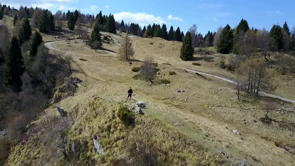 Aerial drone view of a hiker and his dog on a dirt road with green hills.