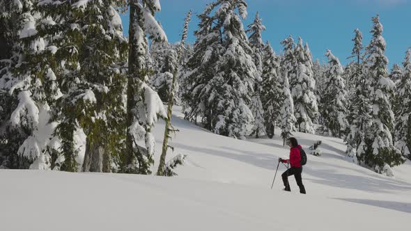 Adventure Woman Hiking on Top of Canadian Mountains