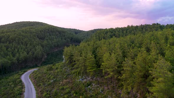 Mysterious Trail in the Forest Filmed on a Drone