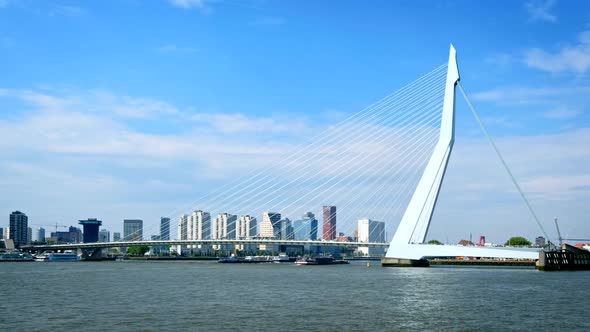 Rotterdam Cityscape