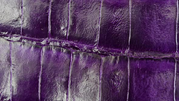 Purple Snake Leather Closeup Production of Handmade Accessories Made of Genuine or Artificial Animal