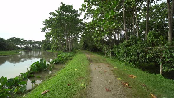 Move at country side road beside river 