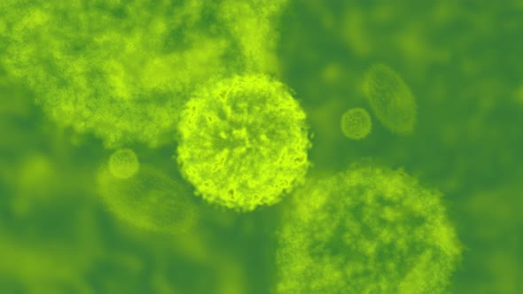 Closeup Scanning Anatomy of Airborne Virus