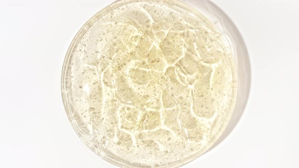 Rotation of Transparent Yellow Cosmetic Gel Fluid with Bubbles in a Glass Bowl of Petri