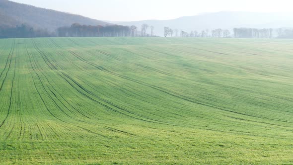 Green Field and Hill Landscape