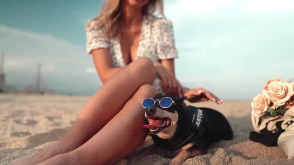 Small Dog Named Artur with Owner Young Woman Playing on the Beach