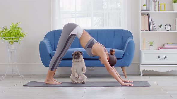 Asian woman practice yoga Downward Facing dog or yoga Adho Mukha Svanasana pose