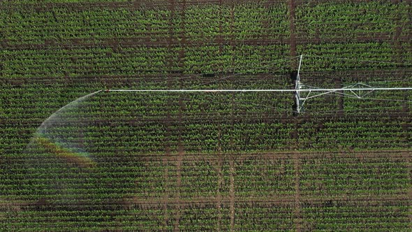 Irrigation System for Farming Field