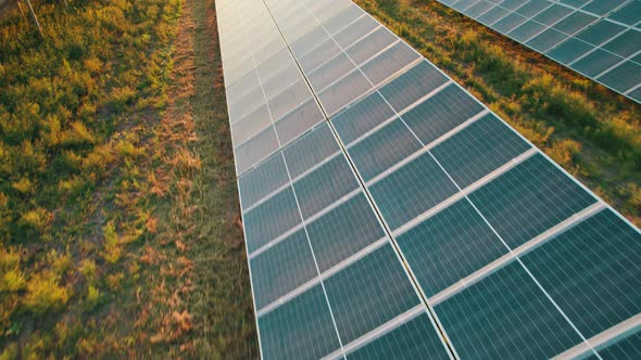 Aerial View of Solar Farm on the Green Field at Sunset Time Solar Panels in Row