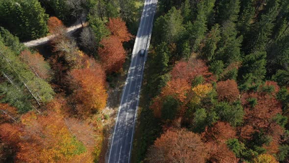 Flying Over The Empty Autumn Road 