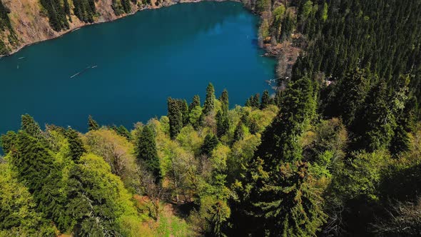 Drone View of the Mountain Lake in the Middle of a Coniferous Forest