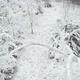 Aerial Of Trees With Heavy Snow - VideoHive Item for Sale