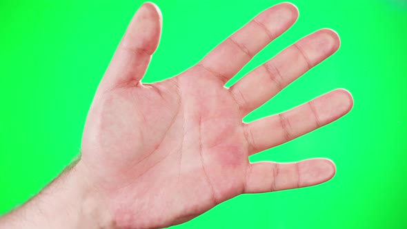 Human Hand Making Fingerprints on Green Chroma Key Background