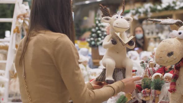 Professional Designer Looks at Deer with Book Statuette