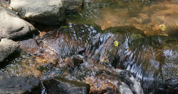 Cascade river in the forest