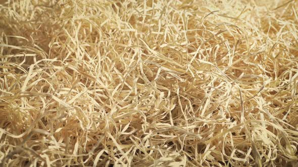 Hay For Pets Bedding Moving Shot