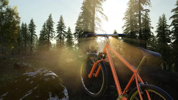 Bicycle in Mountain Forest at Sunset