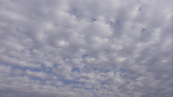 Blue Sky White Clouds