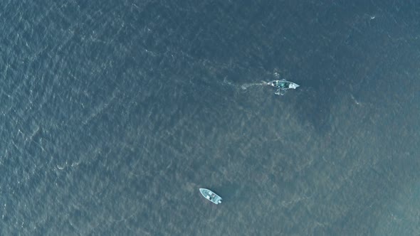 Two Boats Float in Different Directions in the Sea on the Waves