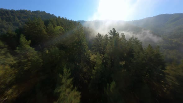 FPV Sports Drone Shot Foggy Rainforest Mountain Terrain Covered By Dense Trees at Sun Light Beam