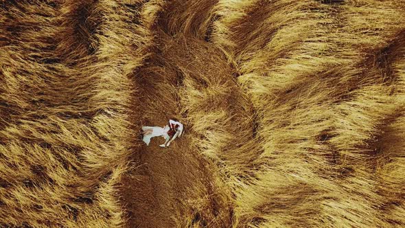 A Couple in Love Lies in a Field of Spikelets Aerial View