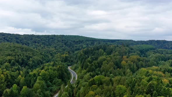 Car moves on a winding road among of  coniferous forest between the mountains