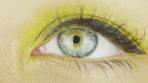 One Female Eye with Makeup Open, Blink, Look Directly and To the Side. Close-up