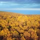 Nature Autumn - VideoHive Item for Sale