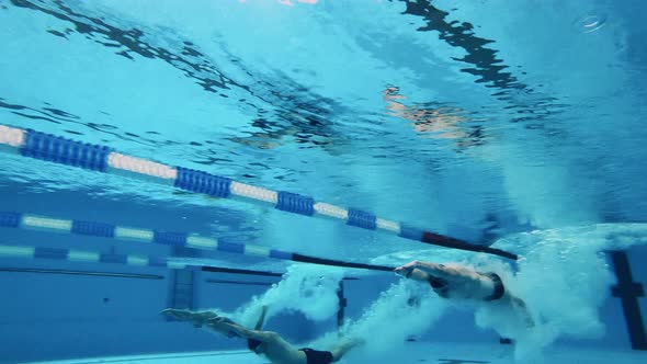 Swimmers Jump Into the Pool in Slow Motion