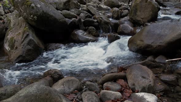 Small Mountain Stream in the Mountains of Ukraine