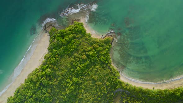 Aerial of green trees and beautiful turquoise water on coastline