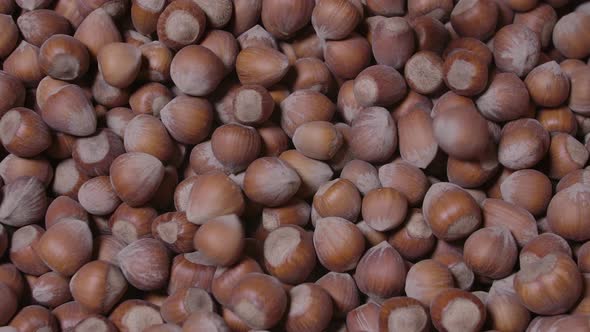 Many Hazelnuts Pours in Slow Motion