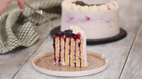 Piece of Homemade Vertical Layer Blackcurrant Jam Cake